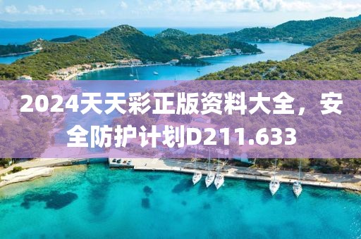 2024天天彩正版资料大全，安全防护计划D211.633