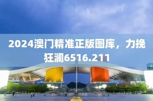 2024澳门精准正版图库，力挽狂澜6516.211