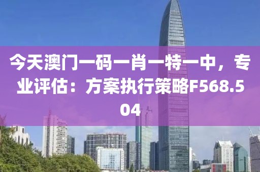 今天澳门一码一肖一特一中，专业评估：方案执行策略F568.504