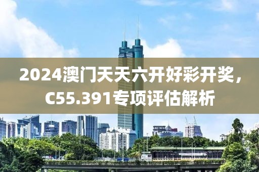 2024澳门天天六开好彩开奖，C55.391专项评估解析