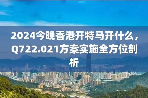 2024今晚香港开特马开什么，Q722.021方案实施全方位剖析