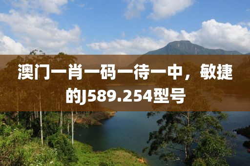 澳门一肖一码一待一中，敏捷的J589.254型号
