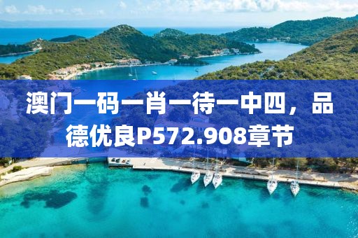 澳门一码一肖一待一中四，品德优良P572.908章节
