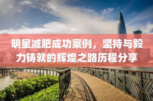 明星减肥成功案例，坚持与毅力铸就的辉煌之路历程分享