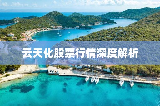 云天化股票行情深度解析