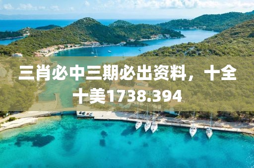 三肖必中三期必出资料，十全十美1738.394