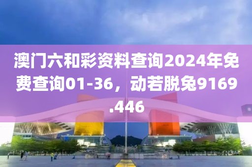 澳门六和彩资料查询2024年免费查询01-36，动若脱兔9169.446