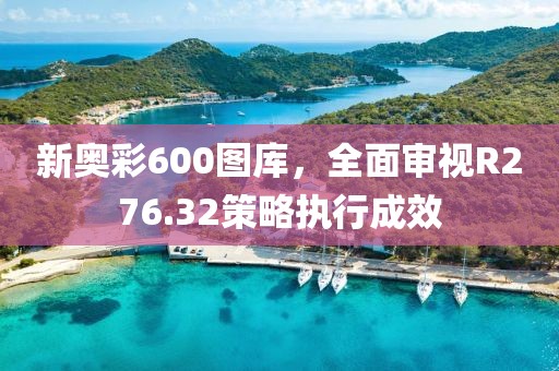 新奥彩600图库，全面审视R276.32策略执行成效