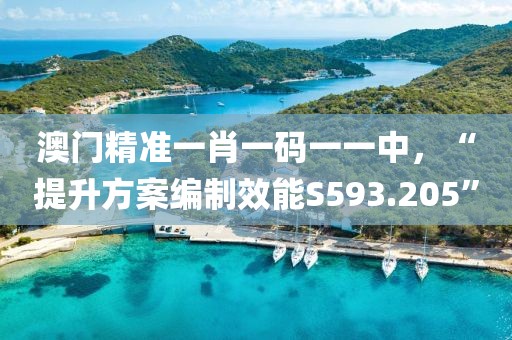 澳门精准一肖一码一一中，“提升方案编制效能S593.205”