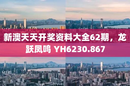 新澳天天开奖资料大全62期，龙跃凤鸣 YH6230.867