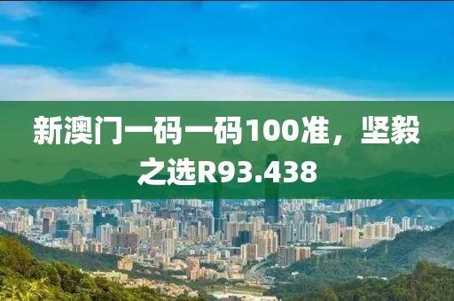 新澳门一码一码100准，坚毅之选R93.438