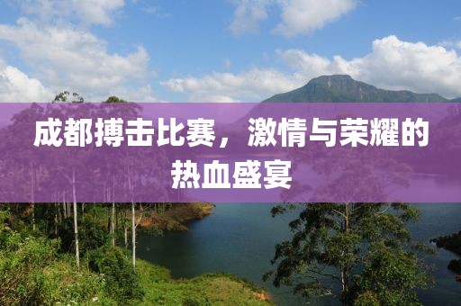 成都搏击比赛，激情与荣耀的热血盛宴