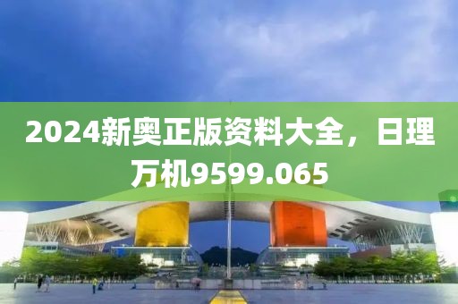 2024新奥正版资料大全，日理万机9599.065
