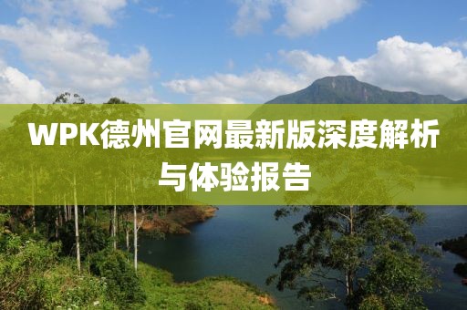 WPK德州官网最新版深度解析与体验报告