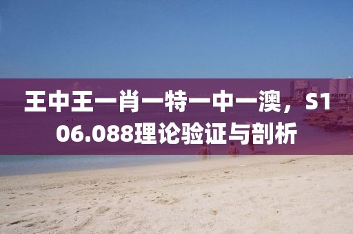 王中王一肖一特一中一澳，S106.088理论验证与剖析
