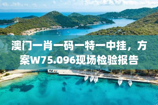 澳门一肖一码一特一中挂，方案W75.096现场检验报告