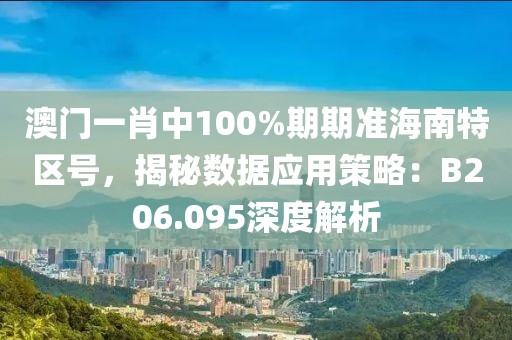 澳门一肖中100%期期准海南特区号，揭秘数据应用策略：B206.095深度解析