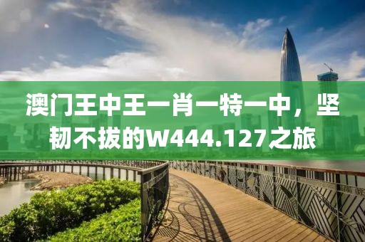 澳门王中王一肖一特一中，坚韧不拔的W444.127之旅