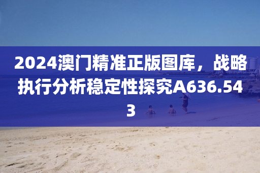 2024澳门精准正版图库，战略执行分析稳定性探究A636.543