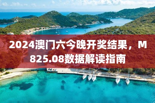 2024澳门六今晚开奖结果，M825.08数据解读指南