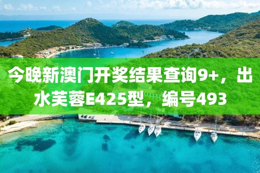 今晚新澳门开奖结果查询9+，出水芙蓉E425型，编号493