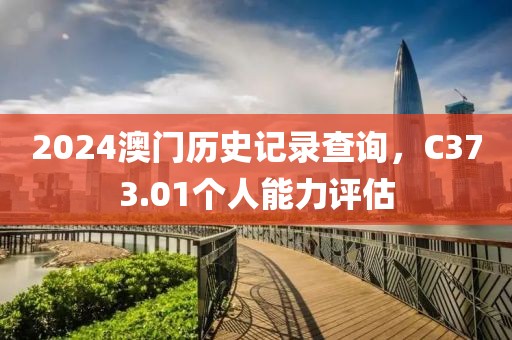 2024澳门历史记录查询，C373.01个人能力评估