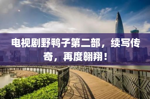 公司简介 第560页