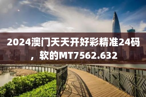 2024澳门天天开好彩精准24码，软的MT7562.632