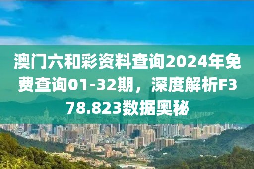 澳门六和彩资料查询2024年免费查询01-32期，深度解析F378.823数据奥秘