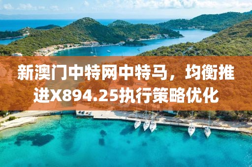 新澳门中特网中特马，均衡推进X894.25执行策略优化