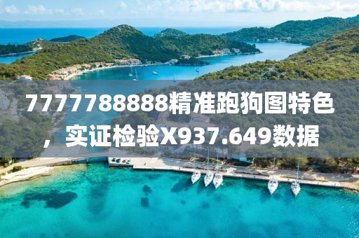 7777788888精准跑狗图特色，实证检验X937.649数据
