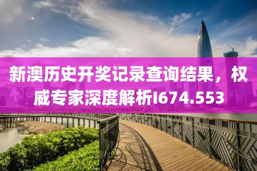 新澳历史开奖记录查询结果，权威专家深度解析I674.553