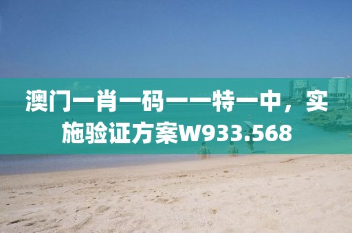澳门一肖一码一一特一中，实施验证方案W933.568