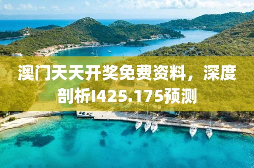 澳门天天开奖免费资料，深度剖析I425.175预测