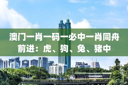澳门一肖一码一必中一肖同舟前进：虎、狗、兔、猪中