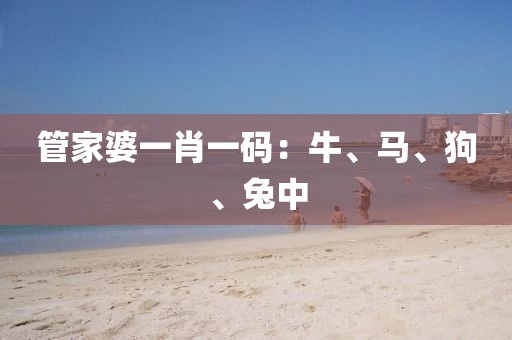 管家婆一肖一码：牛、马、狗、兔中