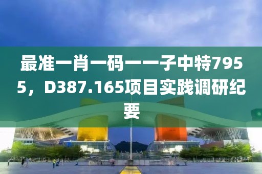 最准一肖一码一一子中特7955，D387.165项目实践调研纪要