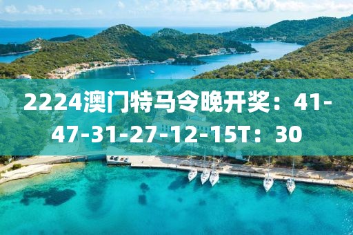 2224澳门特马令晚开奖：41-47-31-27-12-15T：30