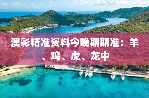 澳彩精准资料今晚期期准：羊、鸡、虎、龙中