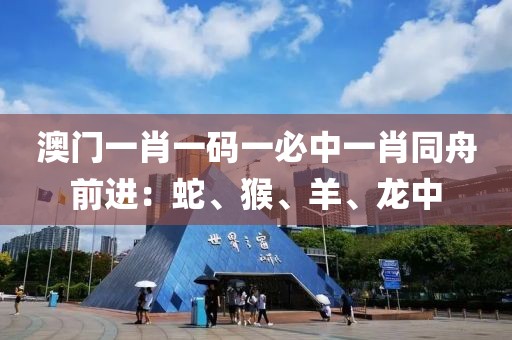 世界因皒而精彩 第20页