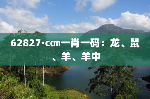 62827·c㎝一肖一码：龙、鼠、羊、羊中