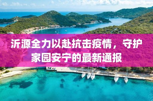 沂源全力以赴抗击疫情，守护家园安宁的最新通报