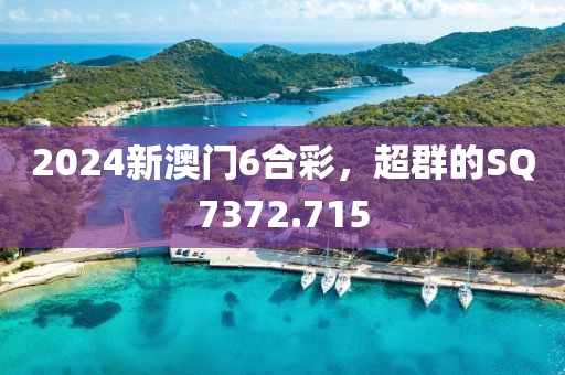 2024新澳门6合彩，超群的SQ7372.715