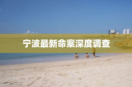 宁波最新命案深度调查