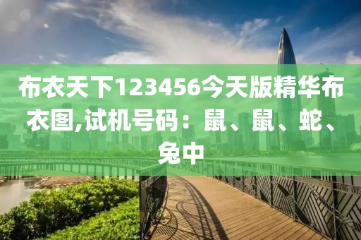 布衣天下123456今天版精华布衣图,试机号码：鼠、鼠、蛇、兔中