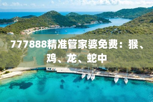 777888精准管家婆免费：猴、鸡、龙、蛇中