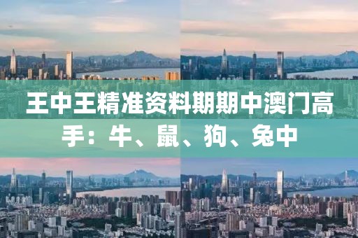 王中王精准资料期期中澳门高手：牛、鼠、狗、兔中