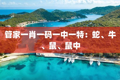 管家一肖一码一中一特：蛇、牛、鼠、鼠中
