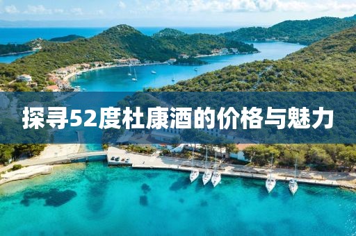 探寻52度杜康酒的价格与魅力