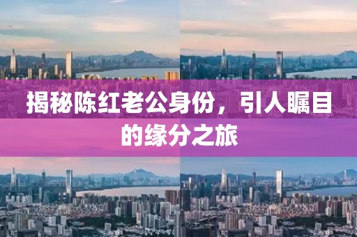 揭秘陈红老公身份，引人瞩目的缘分之旅
